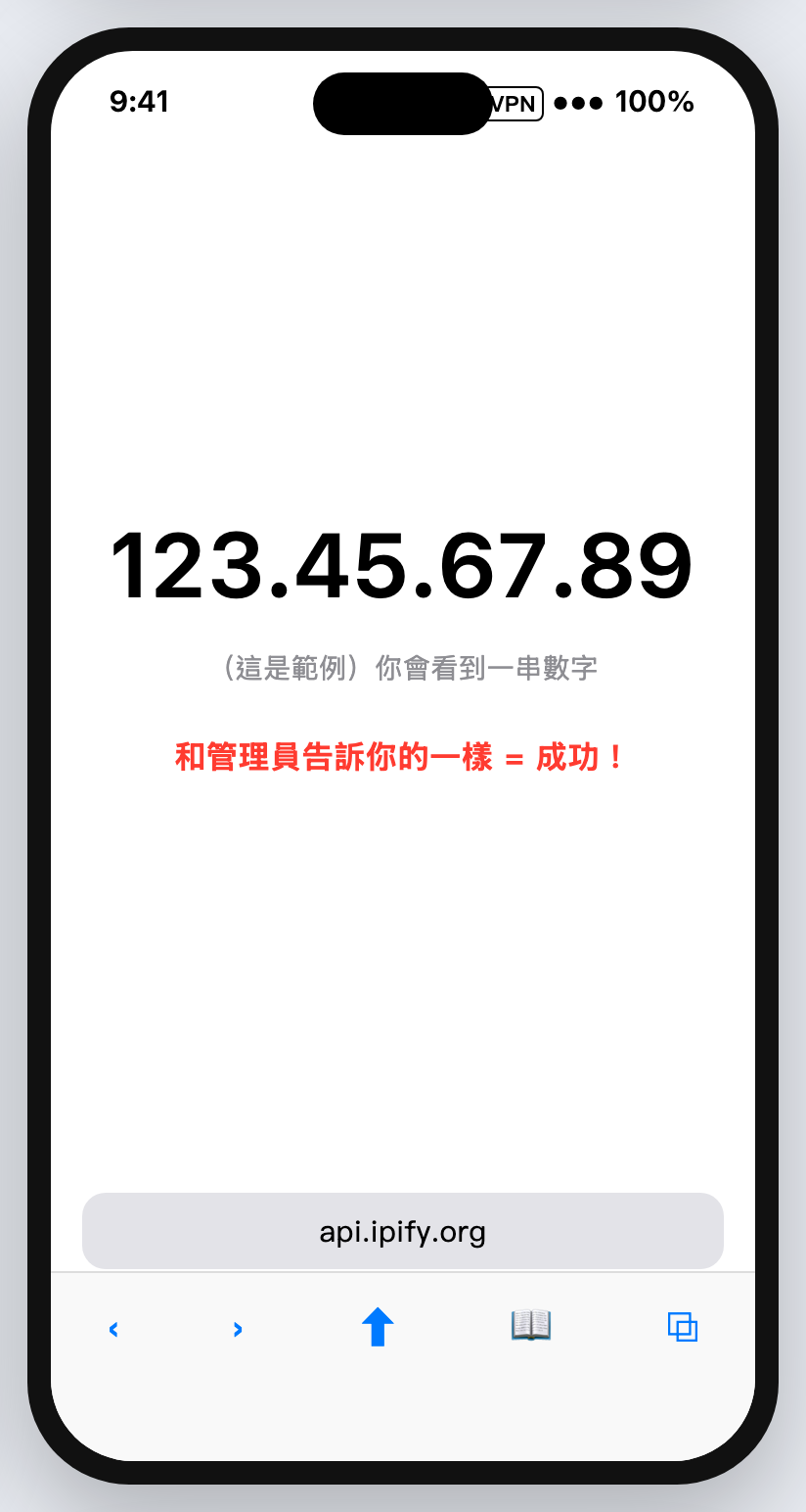 Safari 顯示一串 IP 數字
